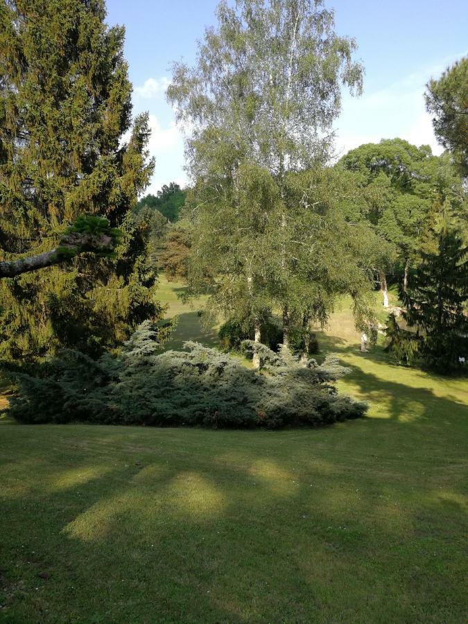 Le Jardin D Eau Hotel Lamothe-Montravel Bagian luar foto