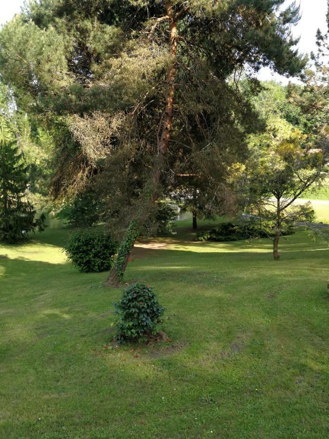 Le Jardin D Eau Hotel Lamothe-Montravel Bagian luar foto
